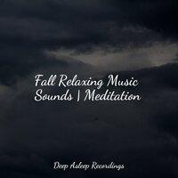 Fall Relaxing Music Sounds | Meditation