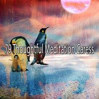 79 Thoughtful Meditation Caress