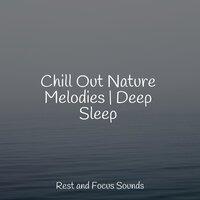 Chill Out Nature Melodies | Deep Sleep