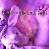 43 Key To The Dream World