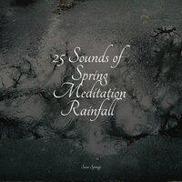 25 Sounds of Spring Meditation Rainfall