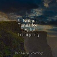 35 Natural Tunes for Restful Tranquility