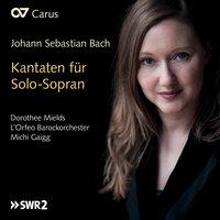Bach, J.S.: Kantaten für Solo-Sopran