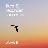 Vivaldi: Concerto for Recorder, Oboe, Violin, Bassoon and Continuo in G minor, R.107 - 1. Allegro