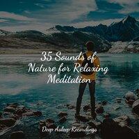 35 Sounds of Nature for Relaxing Meditation