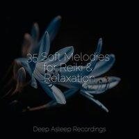 35 Soft Melodies for Reiki & Relaxation