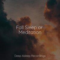 Fall Sleep or Meditation