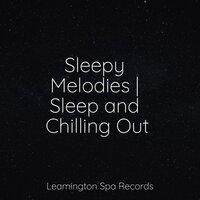 Sleepy Melodies | Sleep and Chilling Out