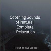 Soothing Sounds of Nature | Complete Relaxation