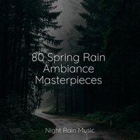 80 Spring Rain Ambiance Masterpieces