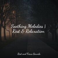 Soothing Melodies | Rest & Relaxation