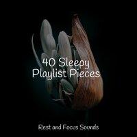 40 Sleepy Playlist Pieces