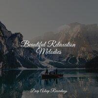 Beautiful Relaxation Melodies