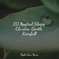 20 Neutral Sleepy Classics: Gentle Rainfall