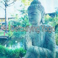 44 детоксифицирующая йога