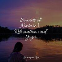Sounds of Nature | Relaxation and Yoga