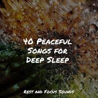 40 Peaceful Songs for Deep Sleep
