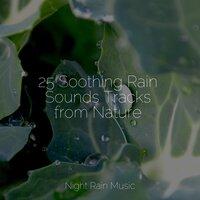 25 Soothing Rain Sounds Tracks from Nature