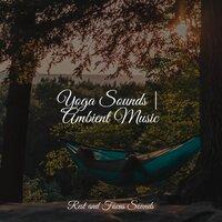 Yoga Sounds | Ambient Music