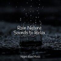 Rain Nature Sounds to Relax