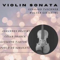 Violin Sonata: I. Allegro ben moderato