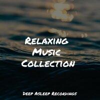 Relaxing Music Collection