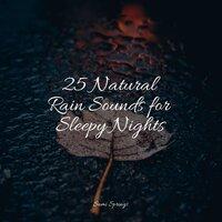 25 Natural Rain Sounds for Sleepy Nights