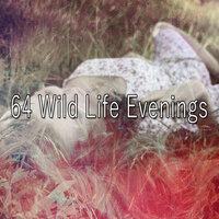 64 Wild Life Evenings