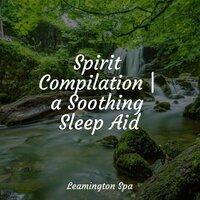 Spirit Compilation | a Soothing Sleep Aid