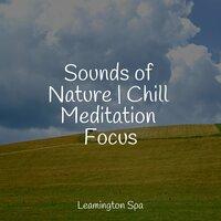 Sounds of Nature | Chill Meditation Focus