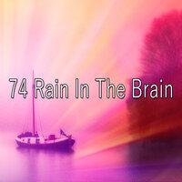 74 Rain in the Brain
