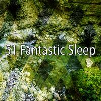 51 Fantastic Sle - EP