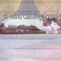 45 Mind Calming Sound