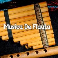 Música de Flauta