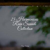 25 Harmonious Rain Sounds Collection