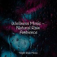 Wellness Music - Natural Rain Ambience