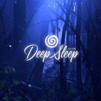 Deep Sleep Dreams