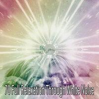 70 Full Relaxation Through White Noise