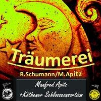 Träumerei (PDF-Noten kostenlos noten-apitz.de Musikverlag Apitz) [Violine M .Apitz, Orchester Köthen]