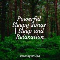 Powerful Sleepy Songs | Sleep and Relaxation