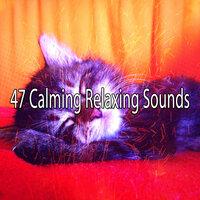 47 Calming Relaxing Sounds