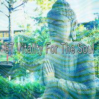 67 Vitality for the Soul