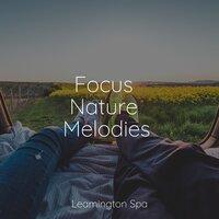 Focus Nature Melodies