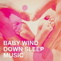 Baby Wind Down Sleep Music