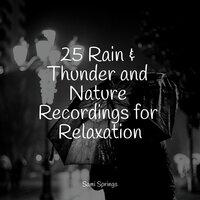25 Rain & Thunder and Nature Recordings for Relaxation