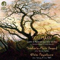 Schumann : Sonates et romances pour violon et piano (sur instruments d'époque)