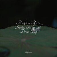 Ambient Rain Tracks: Study and Deep Sleep