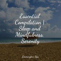 Essential Compilation | Sleep and Mindfulness, Serenity