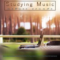 Studying Music: Study Music and Nature Sounds For Studying, Background Reading Music For Focus, Concentration and Relaxation Music With Forest Sounds