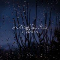 25 Mindfulness Rain Melodies